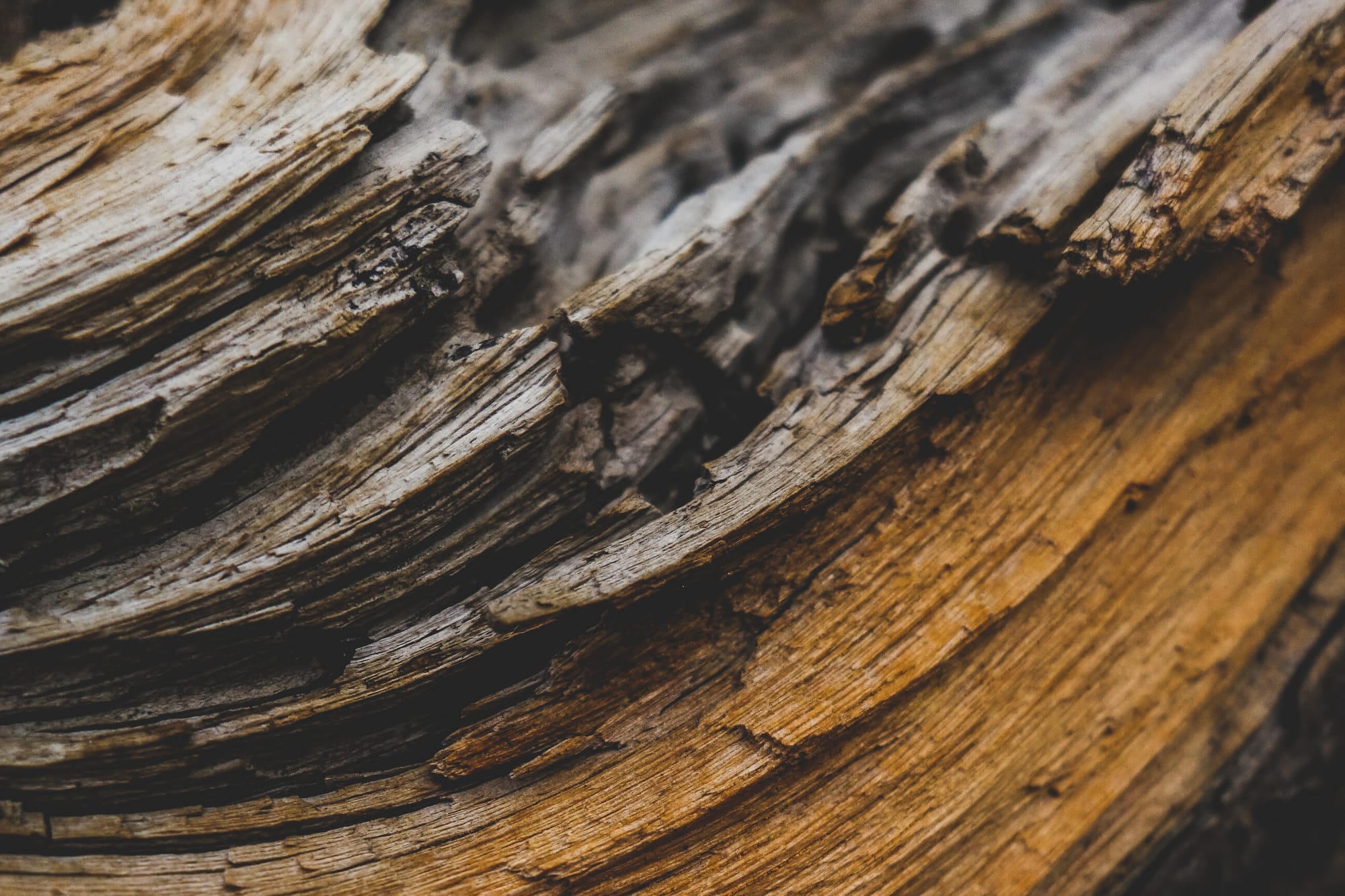 rough hewn